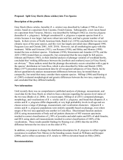 Proposal: Split Gray Hawk (Buteo nitidus) into Two Species