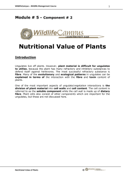 Ungulates and plants