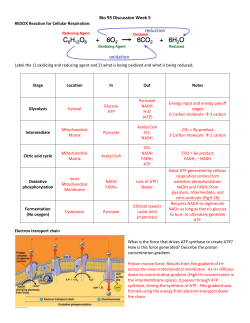 Bio 93 Discussion Week 5 REDOX Reaction for Cellular Respiration