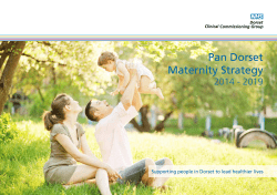 Pan Dorset Maternity Strategy