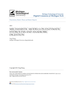 mechanistic models on enzymatic hydrolysis and anaerobic digestion