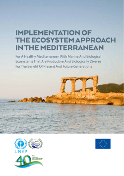 ImplementatIon of the ecosystem approach In the medIterranean