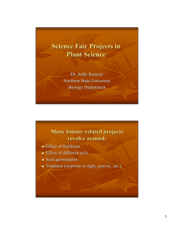 Science Fair Projects in Plant Science