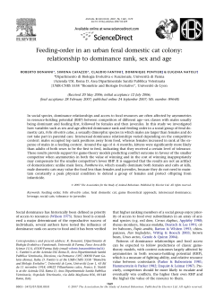Feeding-order in an urban feral domestic cat colony: relationship to