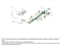 Functional groups in marine phytoplankton assemblages dominated