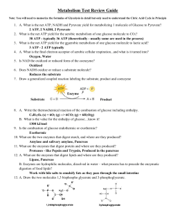 Metabolism Test Review Guide