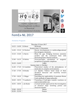 FemEx-NL 2017 - Theoretical Chemistry Groningen