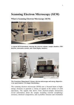 (SEM) What is Scanning Electron Microscopy