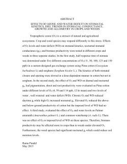 effects of ozone and water deficit on stomatal kinetics, diel trends in