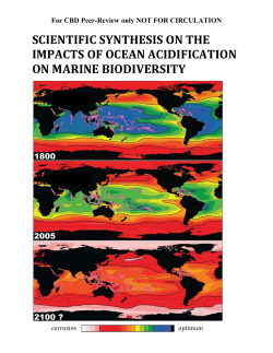 scientific synthesis on the impacts of ocean acidification on marine