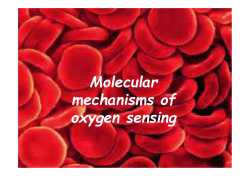 Molecular mechanisms of oxygen sensing