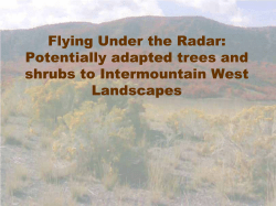 Potentially Adapted Trees and Shrubs to Intermountain