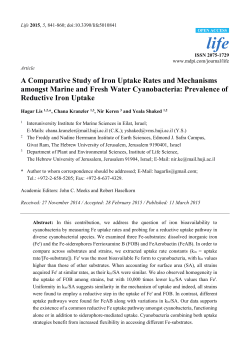A Comparative Study of Iron Uptake Rates and Mechanisms