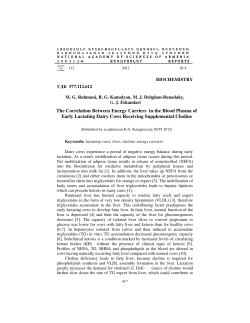 The Correlation Between Energy Carriers in the Blood Plasma of
