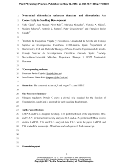 N-terminal thioredoxin reductase domains and