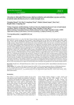 Alteration in chlorophyll fluorescence, lipid peroxidation and