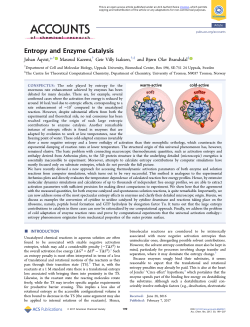 Entropy and Enzyme Catalysis