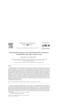 Mitochondrial biogenesis and mitochondrial DNA maintenance of