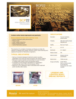 BCP22 &ndash; A BLEND OF AEROBIC AND FACULTATIVE ANAEROBIC