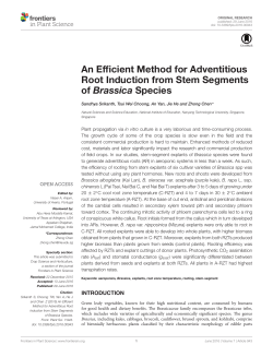 An Efficient Method for Adventitious Root Induction from Stem