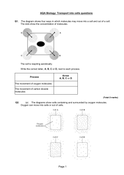 Easy diffusion questions