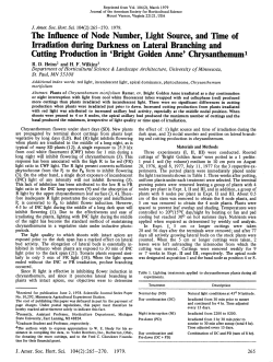 The Influence of Node Number, Light Source, and