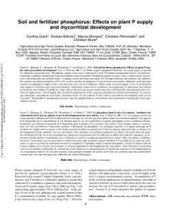 Soil and fertilizer phosphorus: Effects on plant P supply and