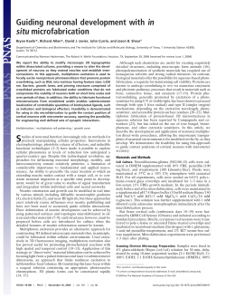 Guiding neuronal development with in situ