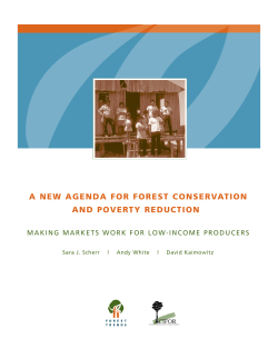 A new agenda for forest conservation and poverty alleviation