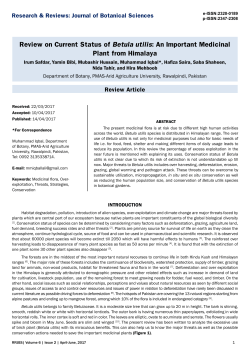 Review on Current Status of Betula utilis: An Important Medicinal