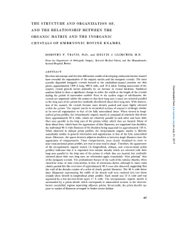 the structure and organization of, and the relationship between the