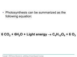 Photosynthesis Ppt. - Warren County Schools