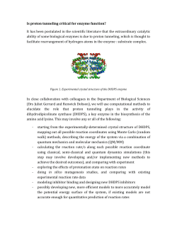 Is proton tunneling critical for enzyme function? It has been