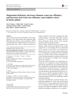 Magnesium deficiency decreases biomass water