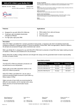 ISOLATE II RNA Lysis Buffer RLY