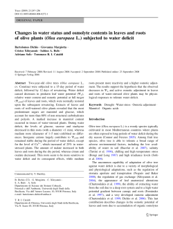 Changes in water status and osmolyte contents in leaves and roots