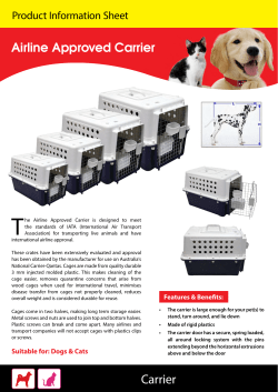 Carrier - Pet One