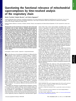 Questioning the functional relevance of mitochondrial