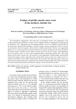 Ecology of gel-like marine snow event in the northern Adriatic Sea