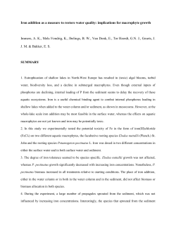 Iron addition as a measure to restore water quality: implications for