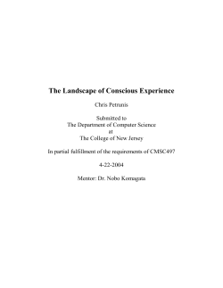 The Landscape of Conscious Experience