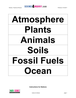 Worksheet - Science4Inquiry.com