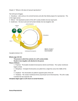Chapter Notes