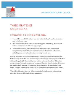 THREE STRATEGIES CultureChange 2016_08_01