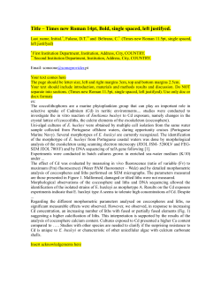 New template for MaM extended abstracts (corrected)