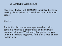 specialized cells