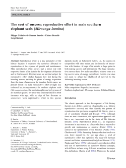 The cost of success: reproductive effort in male southern elephant
