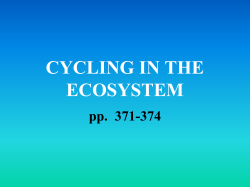 CYCLING IN THE ECOSYSTEM