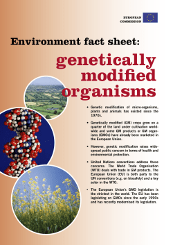 genetically modified organisms