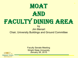 Top 100 business plan - Wright State University